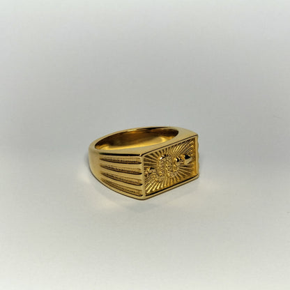 Python Ring