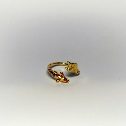 Koi Ring